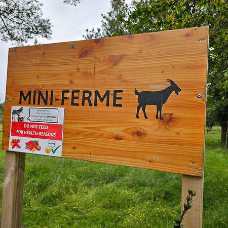 Mobil-Home 6 Personne - Tohapi Coeur De Vendee La Boissiere-de-Montaigu Bagian luar foto